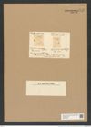 Syringidium simplex L. W. (de-Toni-Nr.: Genus 152, Species 4205) Zeichnungen Sammlung Grunow Nr. 7775 (NHMW-BOT-W0377005)